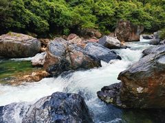 -石台牯牛降景区