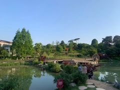 -铁山坪森林公园