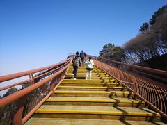 -少华山国家森林公园