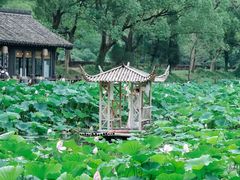 -兰亭风景区