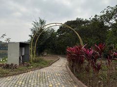 -李小龙乐园(顺德均安店)