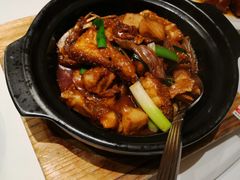 -侨美·唐荔园·40年地道粤菜