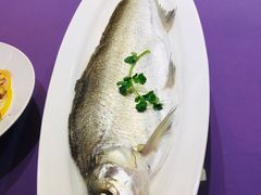 清蒸川白条-张福记(陇海中路店)