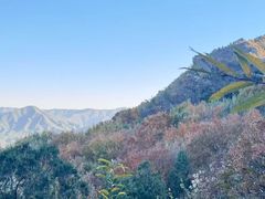 -阳台山自然风景区