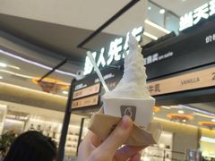 -野人先生Gelato(上海长宁龙之梦店)
