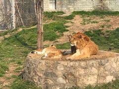 -西安秦岭野生动物园