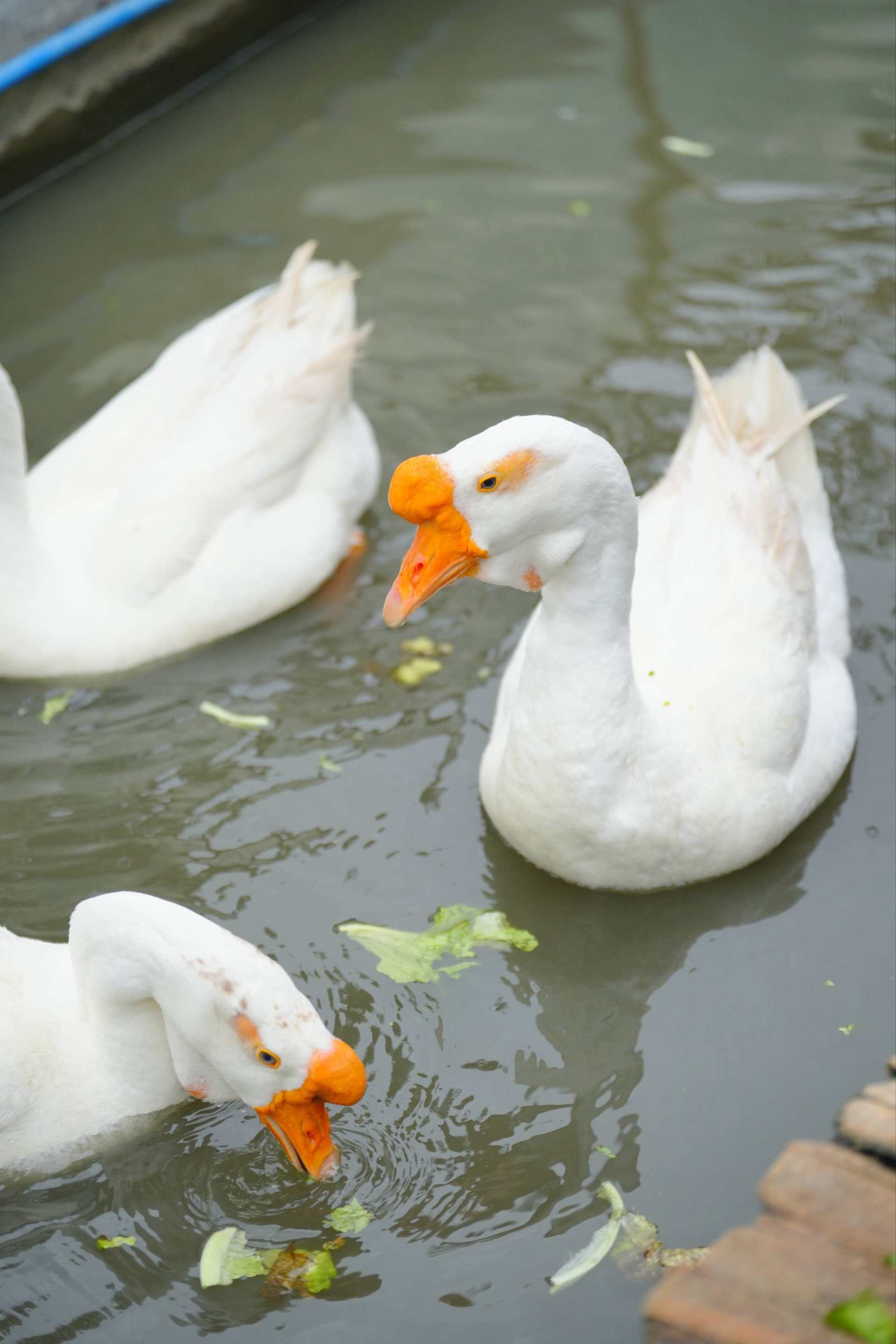 超级好玩的创意园