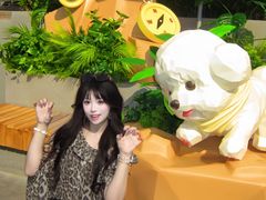 -石家庄万象城