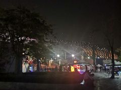 -华润深圳湾体育中心-“春茧” 体育馆