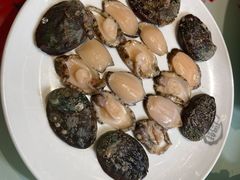 活鲍鱼-千岛蚝高压锅生蚝·人参火锅(白云万达店)