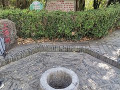 -上海佘山国家森林公园天马山园