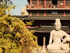 -毗卢寺