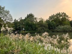 -西溪国家湿地公园