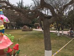 -金城公园