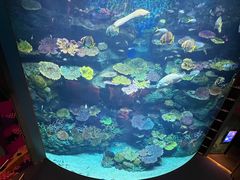 -暹罗海洋世界