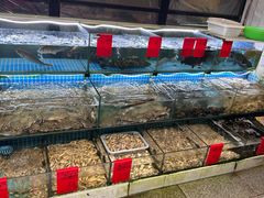 -洲晓鱻舟山海鲜(2号店)