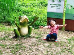 -同里国家湿地公园