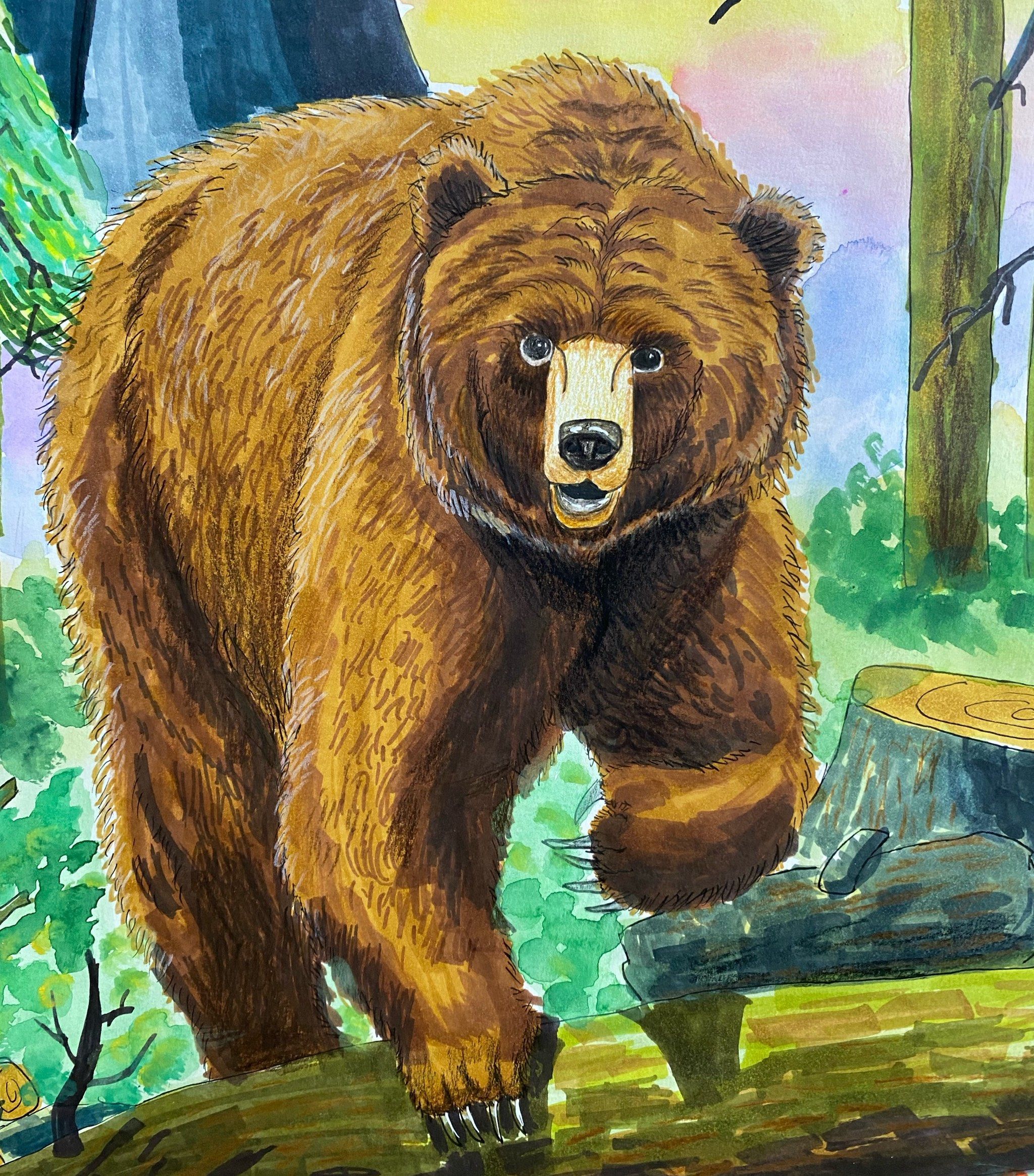 五年级学生:棕熊的强壮与力量体现出来啦