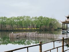 -溱湖国家湿地公园