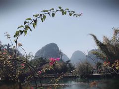 -靖西鹅泉风景区