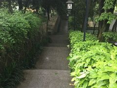-东航云逸酒店(九溪烟树店)