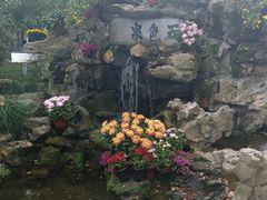 -上海醉白池公园