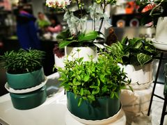 -靳晖金百合花艺GOLDENLILY(南院门店)