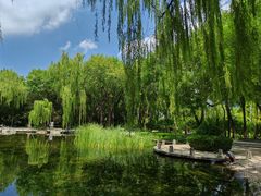 -玲珑塔公园