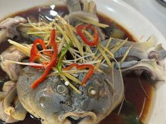 -煲来饱去冷水鱼