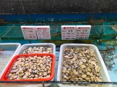 -宝燕壹号(徐汇店)