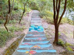 -广州白江湖森林公园