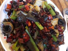 -福苗小骆驼烧烤(莲湖路店)