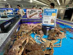 -盒马鲜生(岭南新世界店)