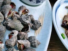 -永红源啤酒·烧烤·海鲜·大排档(青特城店)