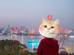 -湖锦酒楼·31年地道湖北菜(黄鹤楼店)