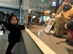 -济州岛泰迪熊博物馆