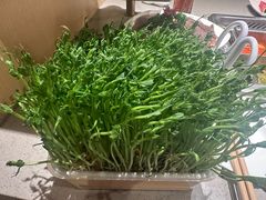 -海底捞火锅(正大乐城店)