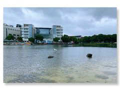 -美兰湖景区