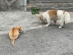 -聚农庄民宿农家院(梨木台东山店)