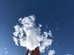 -希拉穆仁草原