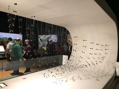 -墨尔本博物馆(Melbourne Museum)