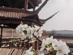 -呀路古热带植物园