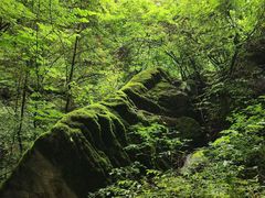 -陕西省红河谷森林公园