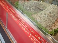 -天府棒棒鸡(金星店)