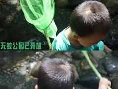 -成都市活水公园