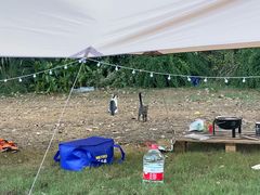 -上海美帆帆船露营基地
