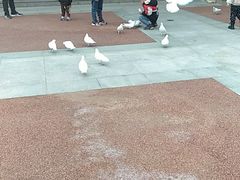 -王府井奥莱临潼小镇(临潼店)