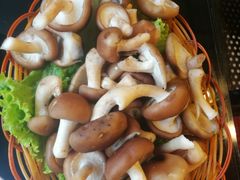 野生菌-香丽缘饭馆(黑龙潭店)