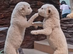 -陕西自然博物馆