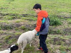 -莫尔道嘎国家森林公园